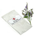 Morrocco Method Int'l Zen Detox Hair & Scalp Masque. 100% Natural Hair Conditioner for All Hair Types. Chemical Free. Raw.