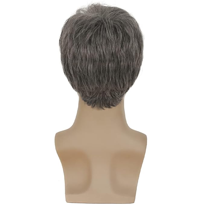 Kaneles Mens Grey Short Wig Synthetic Replacement Costume Halloween Soft Layered Natural Hair Male Wigs (Gray)
