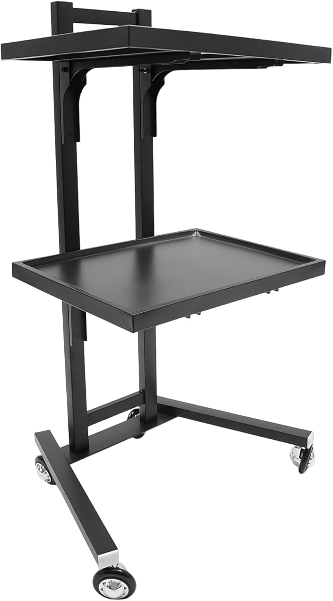 Hairstylist Trolley Cart with Wheels, 2 Tier Salon Tray Cart with Storage Platform, Stainless Steel Salon Service Station Hair Color Tray, Mobile Hairdressing Trolley for Spa Home Use (Black)