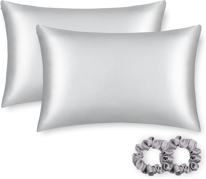 ALASKA BEAR Silk Pillowcase for Hair and Skin, Set of 2 Pure Genuine 22 Momme Mulberry Silk Pillow Cases Queen Size for Bliss Sleep Better Than Poly Satin, Zipper Closure(2pc,Silver)