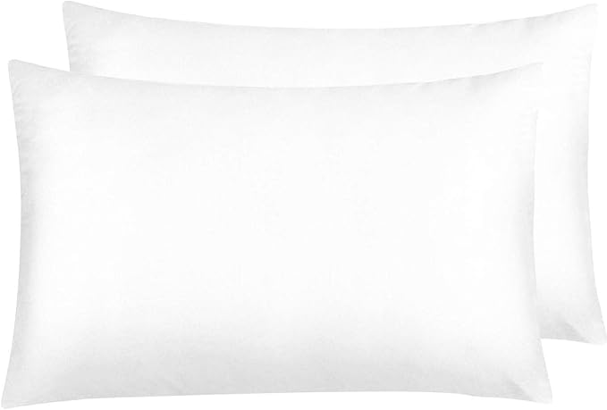 NTBAY Zippered Satin Pillow Cases for Hair and Skin, Luxury Queen Hidden Zipper Pillowcases Set of 2, 20x30 Inches, Pure White