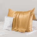 PROMEED 23 Momme Mulberry Silk Pillowcase for Hair and Skin - Both Sides Premium Natural Silk Pillow Case, Grade 6A+ Soft Cooling Pillow Cases, 1pc (Queen 20"x30", Gold)