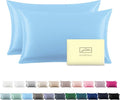 Silk Pillow Cases 2 Pack Soft Breathable and Sliky Queen Size Pillow Cases Set of 2,Natural Mulberry Satin Silk Pillowcase with Hidden Zipper for Hair and Skin (Sky Blue,20"X 30",2pcs)