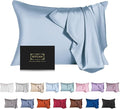Mulberry Silk Pillowcase for Hair and Skin,Cooling Silk Pillow Case with Hidden Zipper,Allergen Proof Dual Sides Soft Breathable Smooth Silk Pillow Cover for Women (Light Blue,Queen)