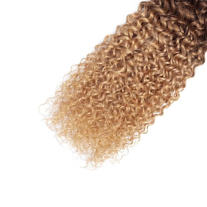 Ombre Curly Bundles Human Hair Honey Blonde Bundle Niegmeag Virgin Soft and Silky Remy Hair 3 Bundles 12 14 16 Inch 4/27 Kinky Curly Bundle Hair Weave