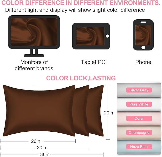 Mulberry Silk Pillow Cases 2 Pack King Size 20x36 Inches with Hidden Zipper, Ultra Smooth and Soft Breathable Cooling Silk Satin Pillowcase Set of 2, Better for Hair and Skin, Gifts for Women Men