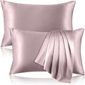 2 Pack 100% Pure Silk Pillowcase for Hair and Skin, Both Sides Mulberry Silk Pillowcases with Hidden Zipper, Cooling Pillowcase 19 Momme, 600 Thread Silk Pillow Cases Standard Size, Apricot