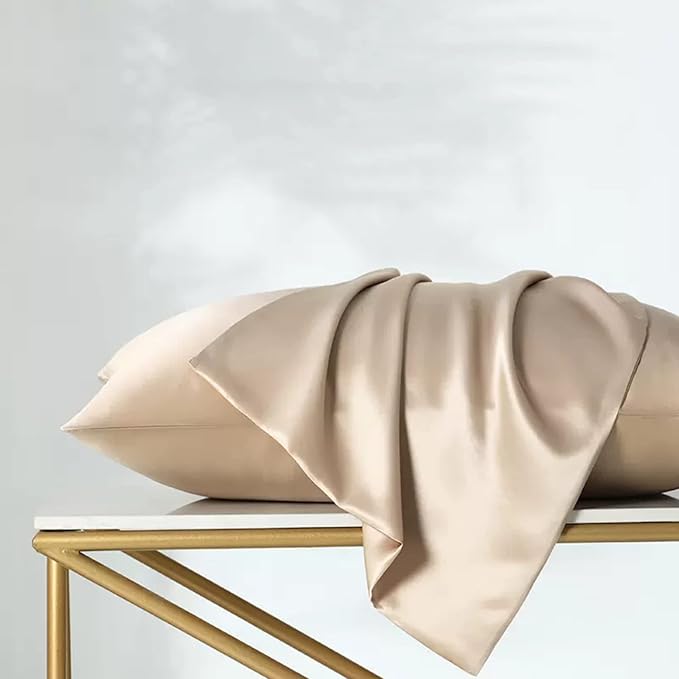Beige Silk Pillow Cases Queen, 100% Mulberry Silk Pillowcase for Hair and Skin Made in USA, 22 Momme, Zipper Closure, Anti Acne, Soft, 1 Pack 20"x30"(Queen, Beige)