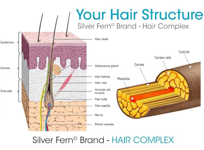 Silver Fern Hair Complex Hair Supplement for Promoting Healthy Hair - Each Bottle Contains 30 Days of Powder Supply - 2 Bottles