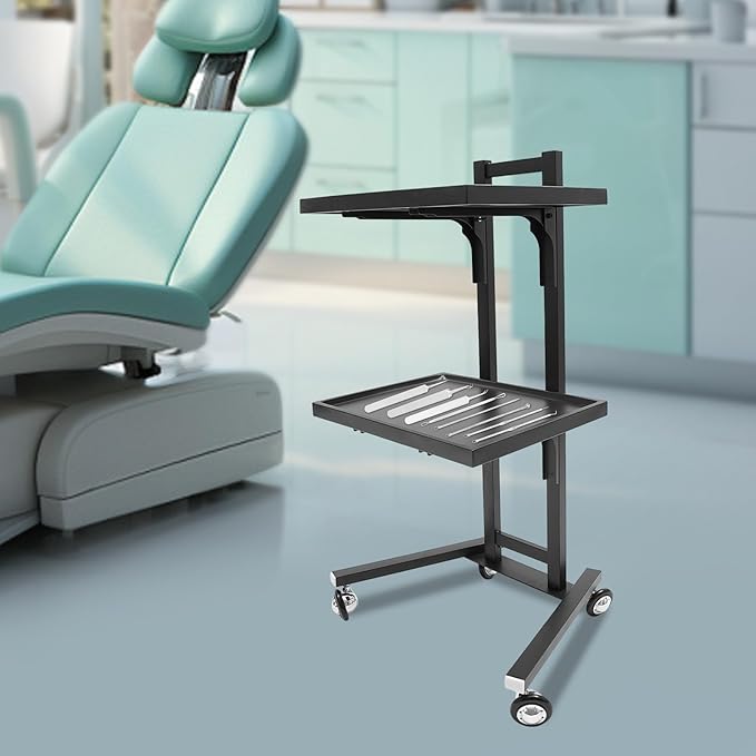 Hairstylist Trolley Cart with Wheels, 2 Tier Salon Tray Cart with Storage Platform, Stainless Steel Salon Service Station Hair Color Tray, Mobile Hairdressing Trolley for Spa Home Use (Black)