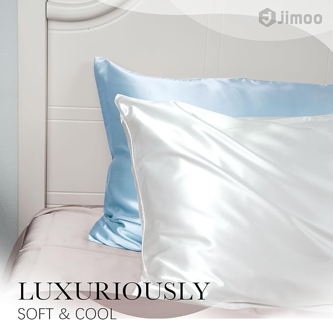 100% Mulberry Silk Pillowcase for Hair and Skin, 22 Momme Pure Natural Silk Pillow Case Both Sided with Zipper, Pillow Cover for Women Mom Men (Light Blue, Standard 20''×26'', 1 Pack)