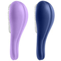 Detangling Hair Brush Set - 2 Pack Detangler Hairbrush with Ultra Soft Bristle for Effortless Tangle Removal - For Dry Wet Damaged Curly Hair for Men Women Girls Boys Kids - Blue & Purple