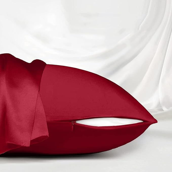 Red Silk Pillow Cases for Hair and Skin Made in USA, 22 Momme, Anti Acne Silk Pillowcase with Zipper, Organic, Hypoallergenic, Anti Wrinkle, 1 Pc 20"x26" (Standard, Red)