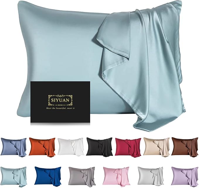 Mulberry Silk Pillowcase for Hair and Skin - Cooling Silk Pillow Case with Hidden Zipper, Allergen Proof Dual Sides Soft Breathable Smooth Silk Pillow Cover for Women (Aqua Blue)