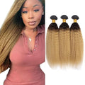 1B27 Human Hair Bundles Ombre Kinky Straight Bundles 22 24 26 Inch Niegmeag Virgin Remy Hair Extensions Double Weft 2 Tone Black and Honey Blonde Bundle 150g