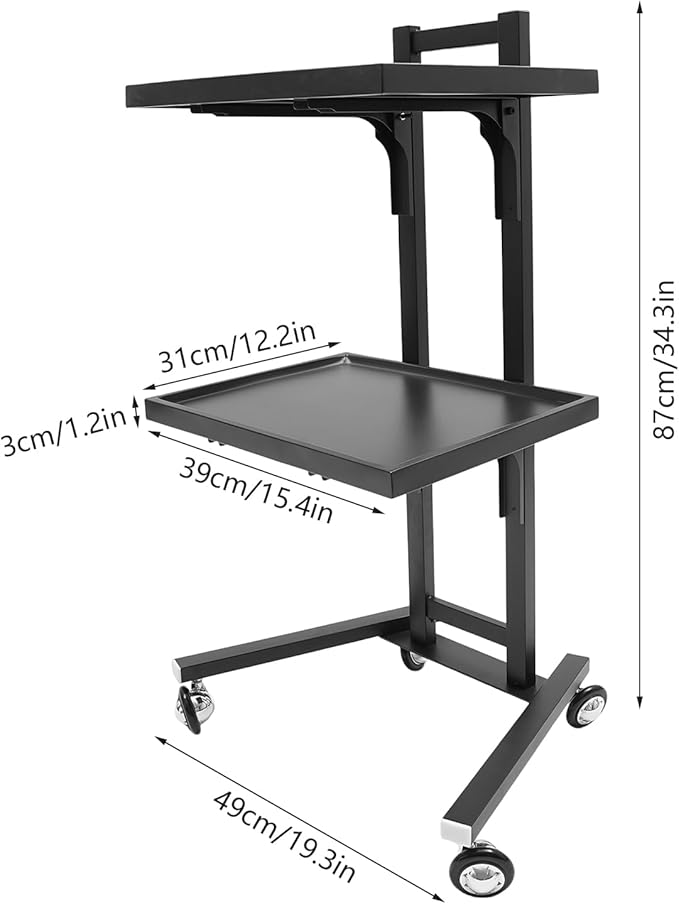 Hairstylist Trolley Cart with Wheels, 2 Tier Salon Tray Cart with Storage Platform, Stainless Steel Salon Service Station Hair Color Tray, Mobile Hairdressing Trolley for Spa Home Use (Black)