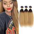 1B27 Human Hair Bundles Ombre Kinky Straight Bundles 20 22 24 Inch Niegmeag Virgin Remy Hair Extensions Double Weft 2 Tone Black and Honey Blonde Bundle 150g