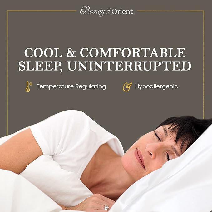 19 Momme Premium Mulberry Silk Pillowcase for Hair and Skin | Handcrafted Hypoallergenic & Anti-Acne 100% Silk Pillow Cases with Zipper | Queen - 20" x 30", Silver Lining