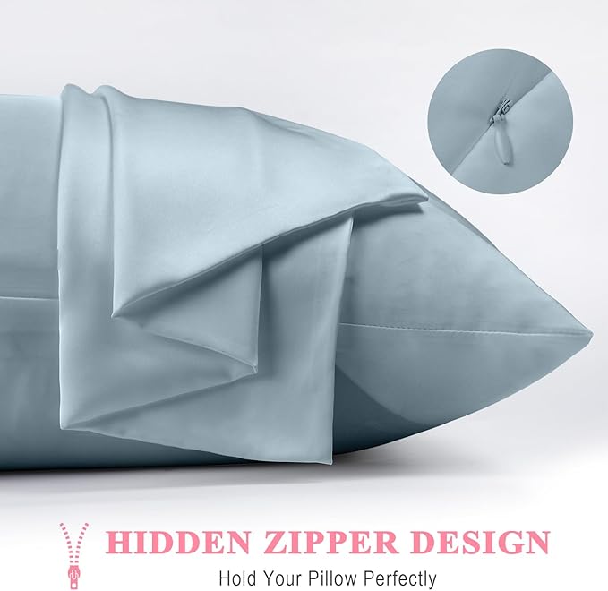 100% Pure Silk Pillowcase 2 Pack for Hair and Skin, Both Sides 23 Momme Grade 6A+ Mulberry Silk Pillowcases with Hidden Zipper, Soft&Smooth Cooling Pillow Cases (Ash Blue, Queen 20x30)