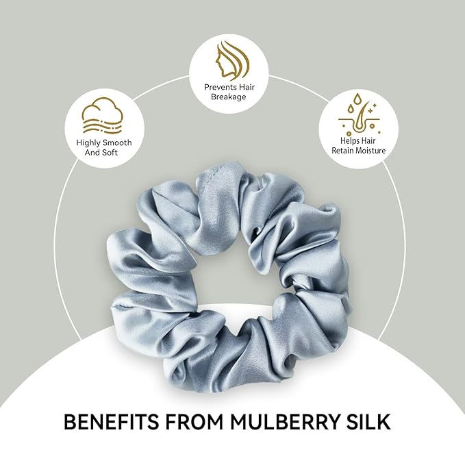 22 Momme 100% Mulberry Silk Hair Ties, Well-Hold Elastic for No-Damage (4Pack,Champagne,LightGray,CreamWhite,LightPink), 6A, Scrunchies, Reduces Frizz & Breakage, OEKO-TEX Certified