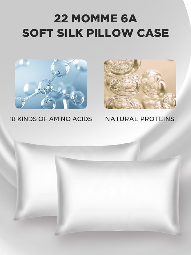 Mulberry Silk Pillowcase for Hair and Skin, SGMSILK 22 Momme Natural Silk Pillow Cases with Zipper, 6A Soft and Smooth Single Sided Pure Silk Pillow Cover (Light Gray, Queen 20"x30")