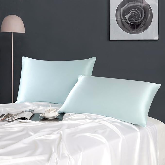 ZIMASILK 100% Pure Mulberry Silk Pillowcase for Hair and Skin Health,Soft and Smooth,Both Sides Premium Grade 6A Silk,600 Thread Count,with Hidden Zipper,1pc(Standard 20''x26'', Powder Blue)