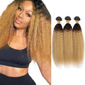 Ombre Human Hair Bundles 1B27 Kinky Straight Bundle Niegmeag Brazilian Virgin Remy Hair 3 Bundles 16 18 20 Inch 2 Tone Black and Honey Blonde Yaki Bundle 150g