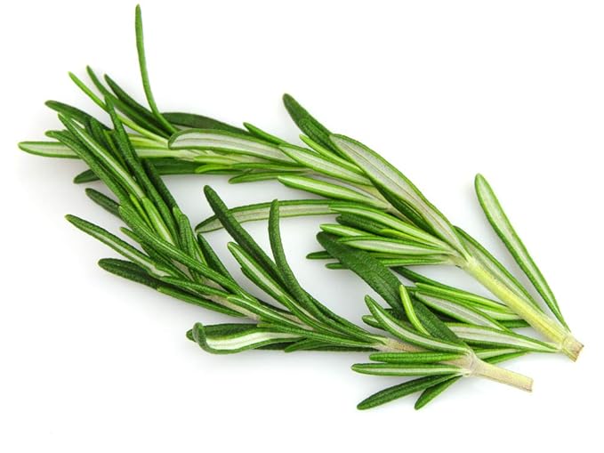 US Organic Rosemary Essential Oil – USDA Certified, 100% Pure, 10ml