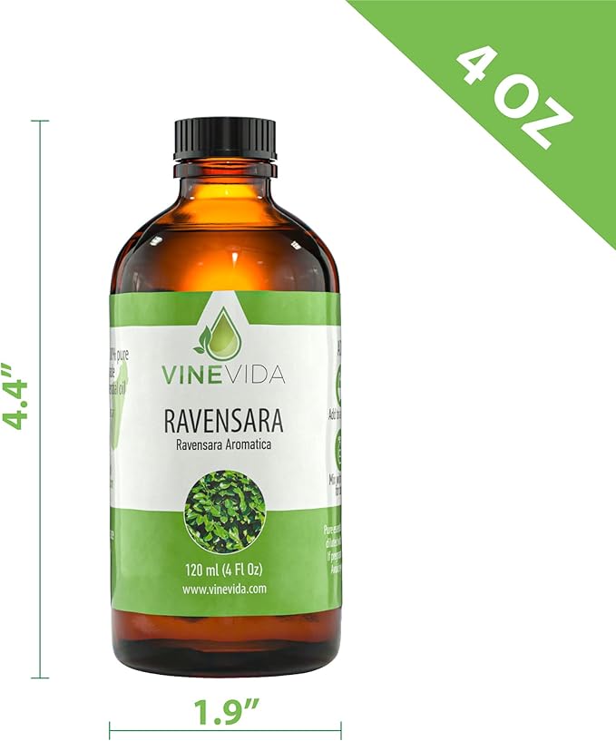 VINEVIDA Ravensara Essential Oil 4 oz - Undiluted, Pure, Vegan, and Sustainable