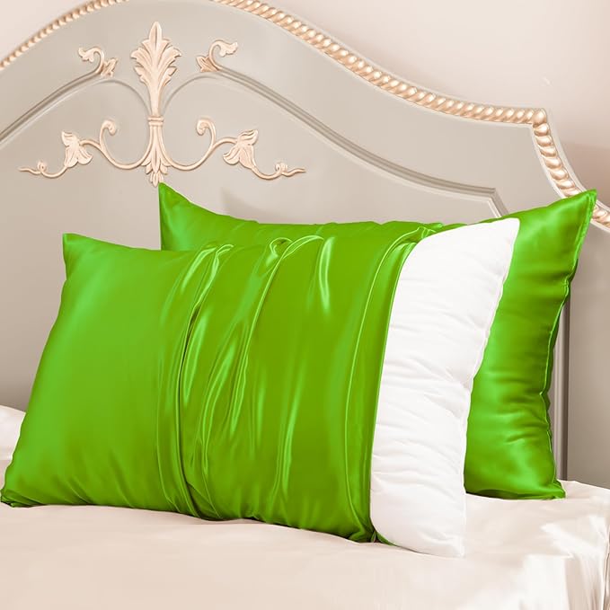 PROMEED Mulberry Silk Pillowcases Set of 2Pcs, Both Sides 100% 23 Momme Real Silk Pillow Case Standard Size 2 Pack, Natural Silk Pillow Cover for Sensitive Skin (Standard 20"x26", Green)