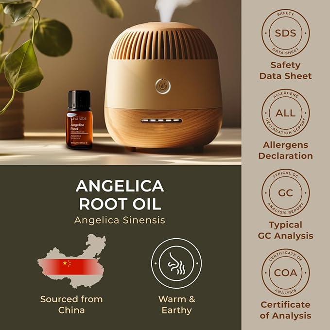 Gya Labs Angelica Root Essential Oil - 0.34 Fl Oz - for Hair, Skin, Diffuser, Aromatherapy & DIY Candle Making Scent