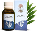 Roots & Above 60ml Pure Tea Tree Essential Oil – 99% Aroma Natural Cold-Pressed Oil for Skin, Face, Hair, Massage, Diffusers, Soap & Candle Making