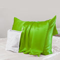 PROMEED 23 Momme Silk Pillowcase for Hair and Skin, Both Sides Upgraded Grade 6A+ Mulberry Silk Pillow Case with Zipper, Cooling Pillow Cases for Hot Sleepers (Queen 20"x30", Green)