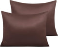 NTBAY Zippered Satin Pillow Cases for Hair and Skin, Luxury Standard Hidden Zipper Pillowcases Set of 2, 20x26 Inches, Dark Brown