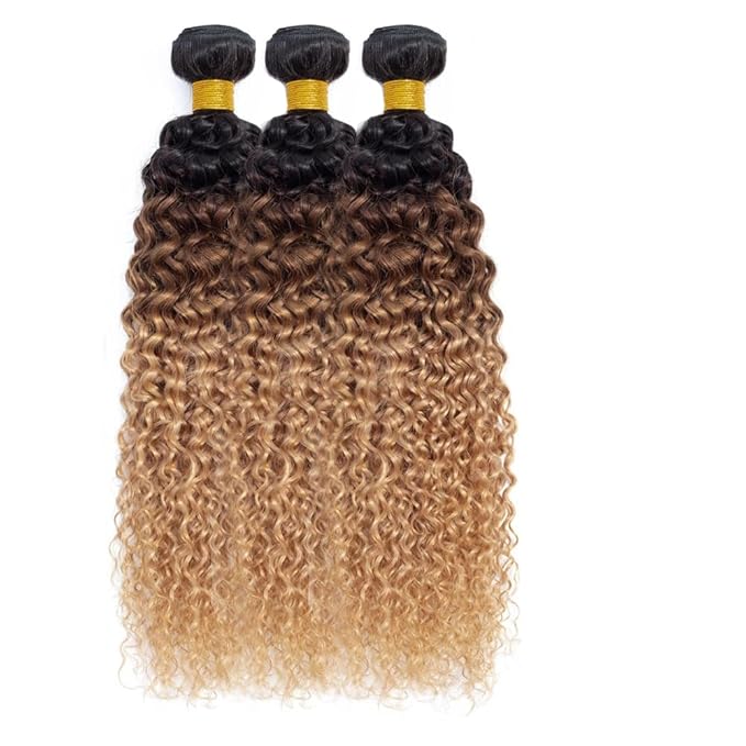Ombre Curly Bundles Human Hair Honey Blonde Bundle Niegmeag Virgin Soft and Silky Remy Hair 3 Bundles 12 14 16 Inch 4/27 Kinky Curly Bundle Hair Weave
