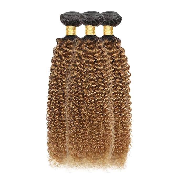 1B27 Bundles Human Hair Ombre Blonde Kinky Curly Bundle Virgin Remy Hair 3 Bundles 14 16 18 Inch Niegmeag Double Weft Soft and Silky 2 Tone Black and Honey Blonde Bundle 300g