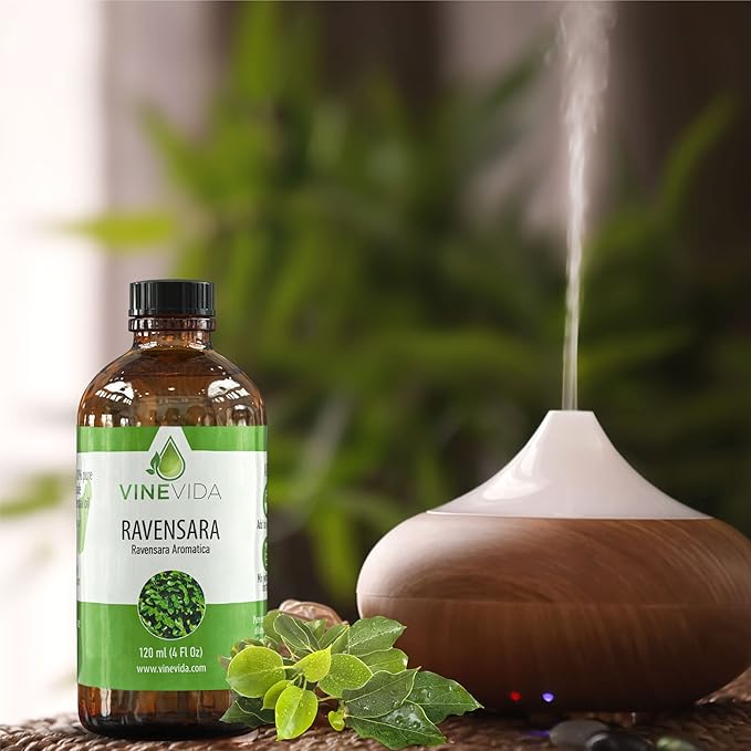 VINEVIDA Ravensara Essential Oil 4 oz - Undiluted, Pure, Vegan, and Sustainable
