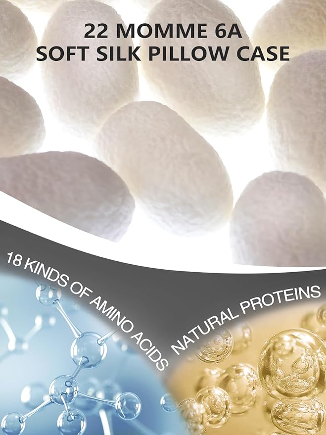 Mulberry Silk Pillowcase for Hair and Skin, SGMSILK 22 Momme Natural Silk Pillow Cases with Zipper, 6A Soft and Smooth Single Sided Pure Silk Pillow Cover (Dark Gray, King 20"x36")