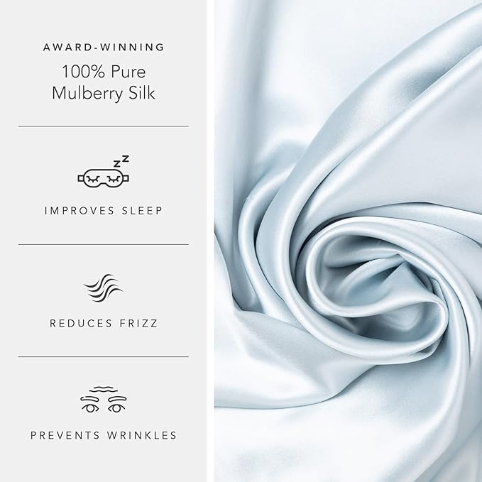 Fishers Finery 19mm 100% Pure Mulberry Silk Pillowcase, Quality Tested (Blue, Q)