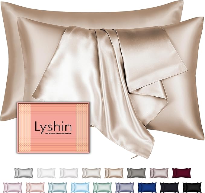 Mulberry Silk Pillow Cases 2 Pack Queen Size 20x30 Inches with Hidden Zipper, Ultra Smooth and Soft Breathable Cooling Silk Satin Pillowcase Set of 2, Better for Hair and Skin, Gifts for Women Men
