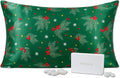 THXSILK Christmas Style 6A+ Grade Mulberry Silk Pillowcase for Hair and Skin, 22 Momme 100% Pure Silk Pillow Case with Hidden Zipper, Christmas Holly Printed Pillow Cover(Queen Size 20"x30",Green)