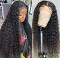 Deep Wave 13X6 HD Lace Front Wigs Human Hair Pre Plucked Brazilian Virgin Deep Curly Wigs with Baby Hair for Black Women Natural Black Color 200% Density 14 Inch
