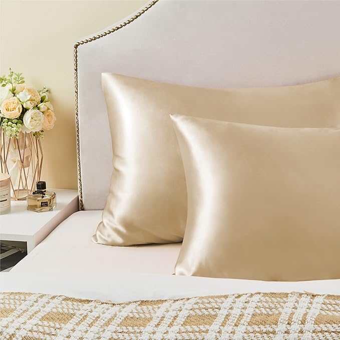 BEDELITE Satin Pillowcase for Hair and Skin, Super Soft and Cooling Similar to Silk Pillow Cases 2 Pack with Envelope Closure, Gift for Women Men(20"x30" Queen Size, Champagne)