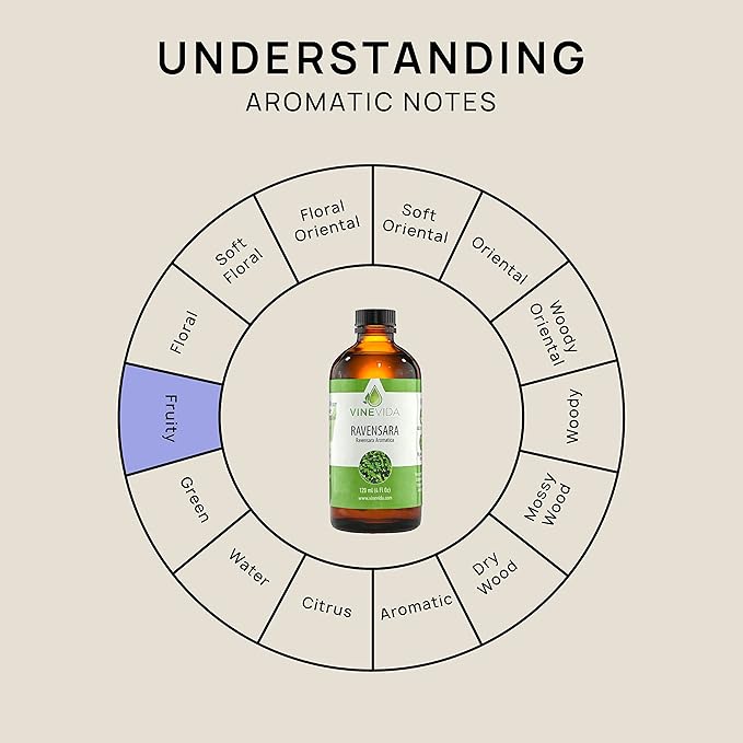 VINEVIDA Ravensara Essential Oil 4 oz - Undiluted, Pure, Vegan, and Sustainable