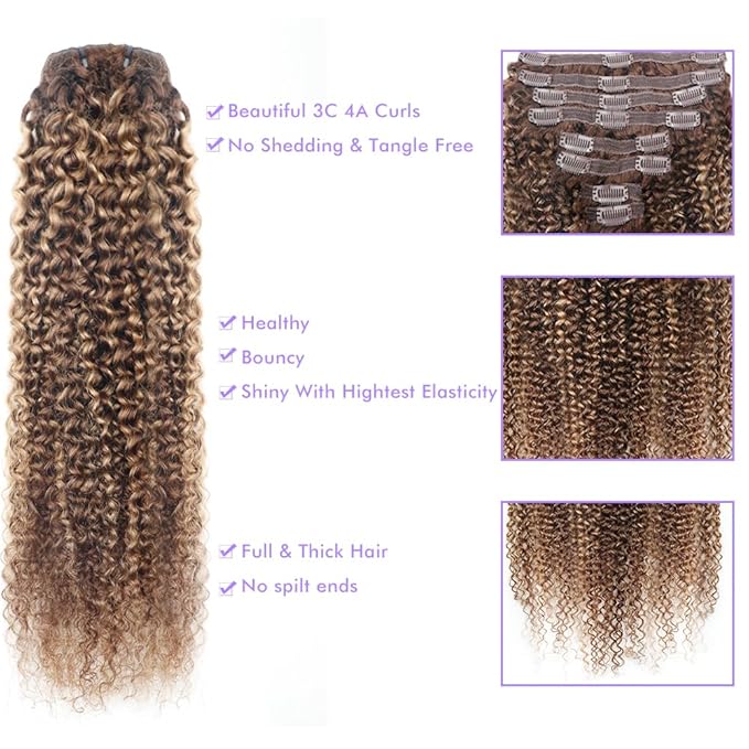 Curly Clip In Hair Extensions Real Human Hair Clip Ins Balayage Chocolate Brown to Caramel Blonde Human Hair Extensions 8Pcs with18clips 120g/Set (22 inch，#4/27/4)