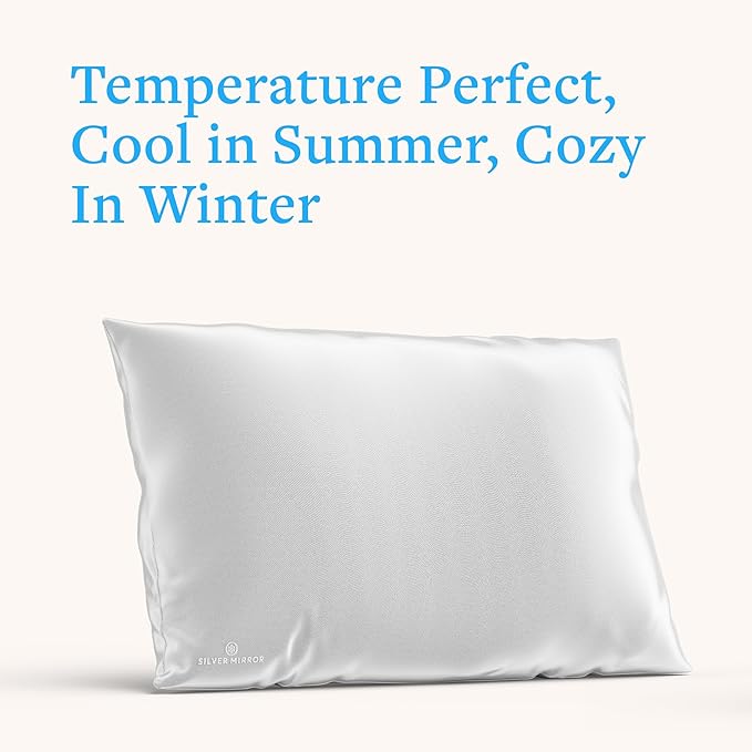 Silver Silk Pillow Case, Fits Standard Queen Pillow, 100% Mulberry Silk Pillowcase 22mm, 6H High-Grade Fibers, 100% Silk Pillowcase for Healthy Skin & Hair