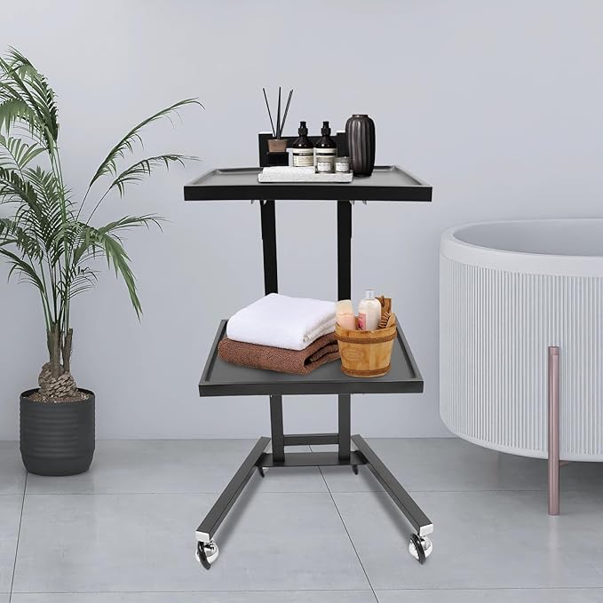 Hairstylist Trolley Cart with Wheels, 2 Tier Salon Tray Cart with Storage Platform, Stainless Steel Salon Service Station Hair Color Tray, Mobile Hairdressing Trolley for Spa Home Use (Black)