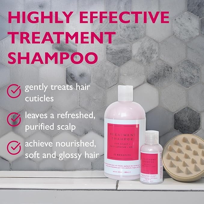 12 Benefits Treatment Shampoo – Hydrating Scalp Treatment, Gentle, Effective Cleanse, Sulfate-Free Shampoo for Dry, Damaged, and Color-Treated Hair, 16 Fl Oz (480 ML)