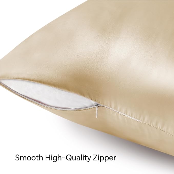 BEDELITE Satin Pillowcase with Zipper, Champagne Pillow Cases Queen Size Set of 2, Super Soft and Cooling Similar to Silk Pillow Cases, Gift for Women Men(20x30 Inches)