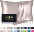 Mulberry Silk Pillow Cases Queen Size, Silk Pillowcase for Hair and Skin, Both Sides Natural Silk Satin Pillowcase for Sleeping Women with Zipper, Gifts for Women Men, Taupe